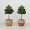 3ft. Artificial Fiddle Leaf Fig Tree With Handmade Cotton & Jute Woven Planter Set DIY Kit